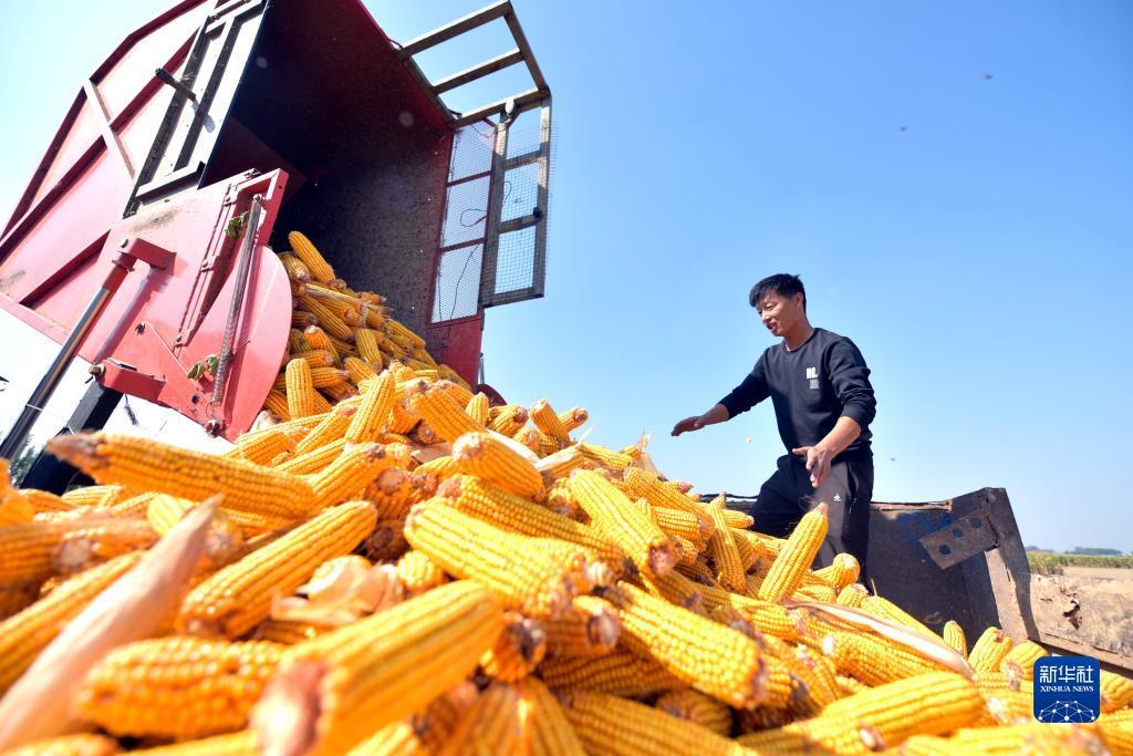 大哥大游戏城
